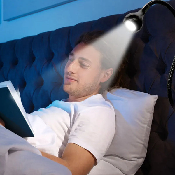 LED Adjustable Desk Lamp