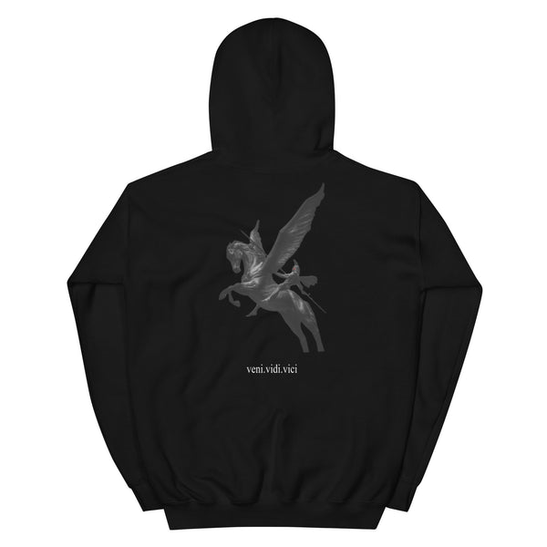 PEGASUS