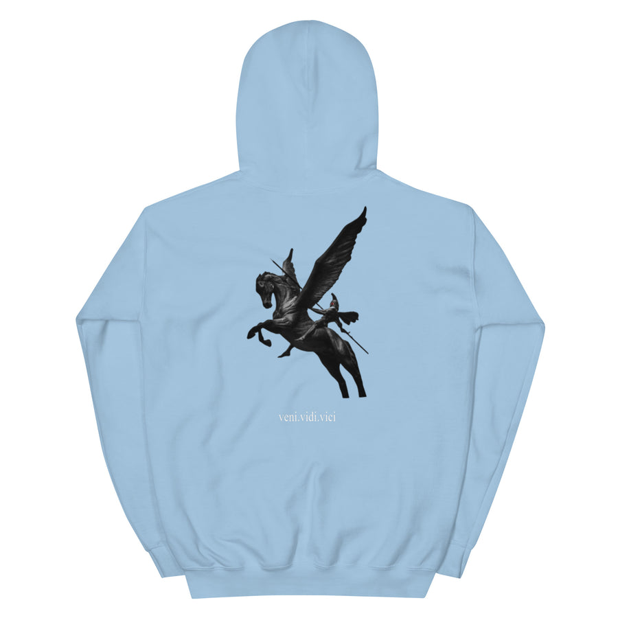 PEGASUS